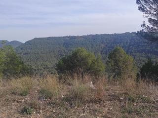Terreny residencial  Carrer mirador de canet. Solar de 481 m2 apte per casa unifamiliar aillada. vistes panorà