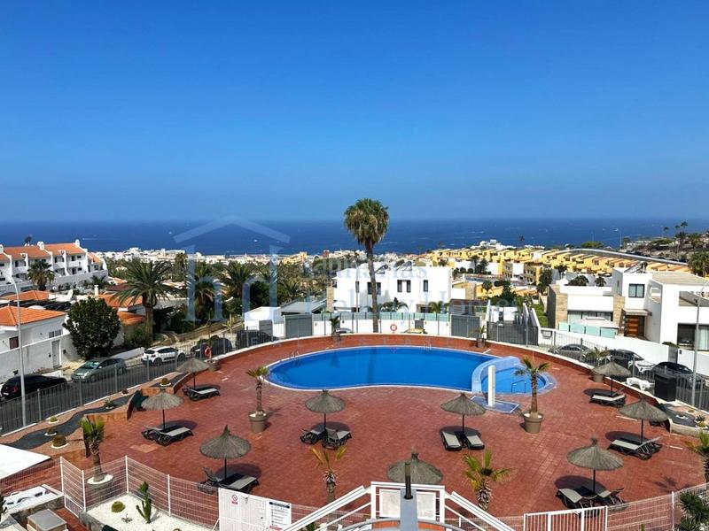 Foto d69f10fb-20b6-4e69-a623-9213aa479a62. Estudio  en venta en San Eugenio Alto en San Eugenio Alto Adeje