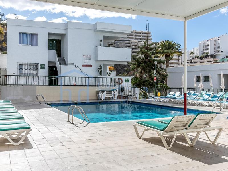 Foto a66a8ed8-8e38-48a6-a8d8-4d93cc53a39c. Estudio  en venta en los gigantes, tenerife en Santiago del Teide
