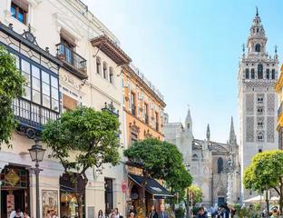 Rent Flat  Calle mateos gago