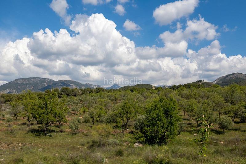 Foto d1d2efc2-657f-49ba-8e1d-26e4c833ba25. Chalet mit heizung parking pool in Altos de la Zubia Zubia (La)