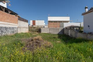 Terreny residencial  Avenida cerro de alfonsico. Terreno urbano en vista alegre, peligros