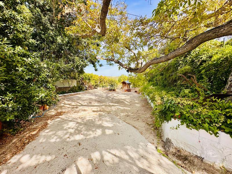 Foto ed0848f4-3404-469d-9447-57cd0adf9fa0. Masía cortijo en Loja