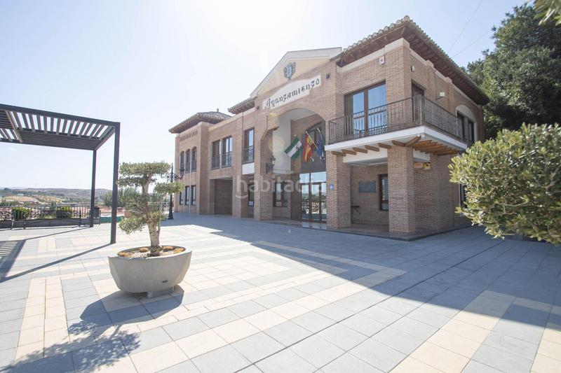 Foto 7ab5f0bc-30a9-4207-9f76-add48db3da10. Business premise in Ayuntamiento Alhendín