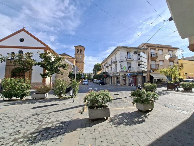 Foto b49c4acf-8cbc-4ca1-95bf-8d45e3dbb461. Pis a Cúllar Vega