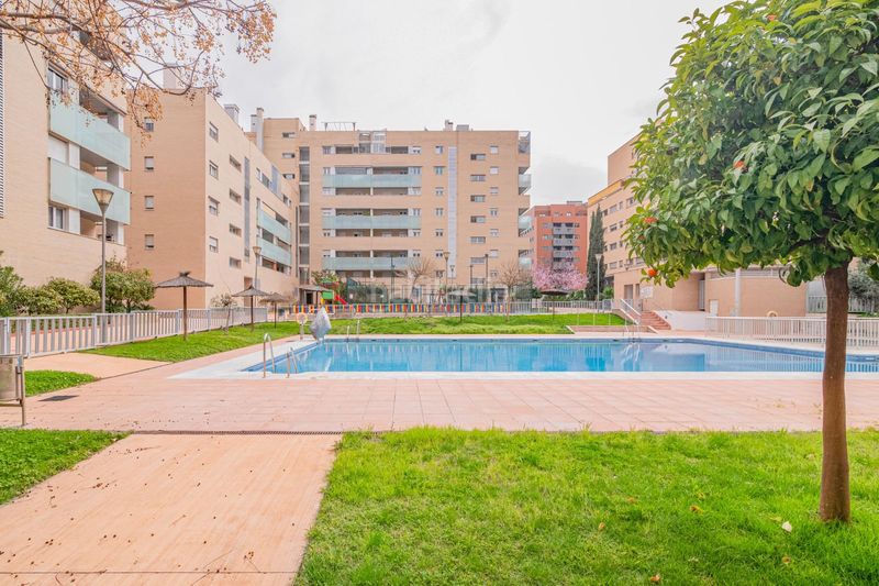 Foto 44e77b0e-0fed-4a58-aad0-cced694e9c1b. Pis amb calefacció piscina a Campus de la Salud Granada