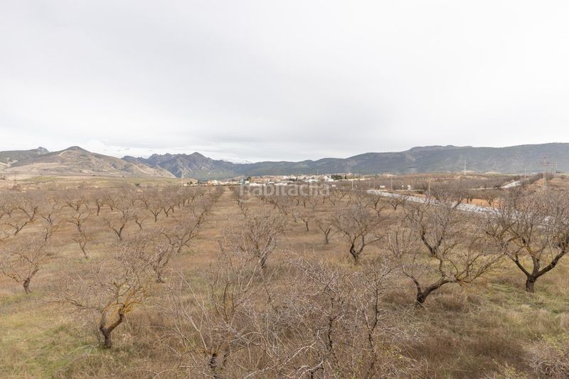 Foto 60e49e93-07cf-4ce4-9200-e1fb397bd78d. Xalet a Dílar