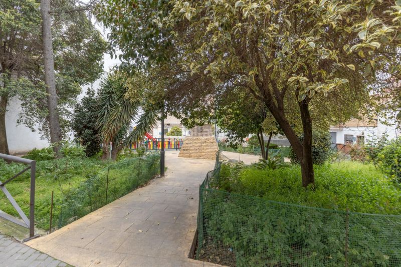Foto ea555f84-cf5f-4d8e-b2ef-ca5c50bff049. Planta baixa amb aparcament a Pulianas
