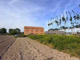Rural plot  Andalucia. Terreno rústico con secadero