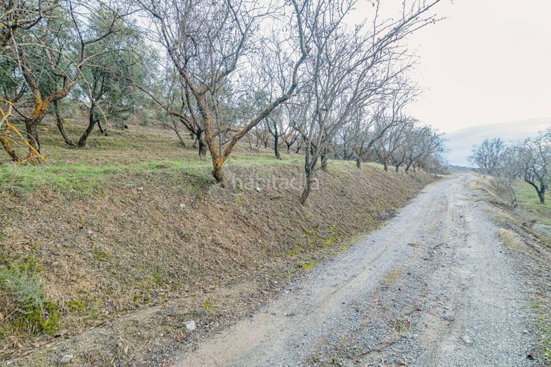 Foto b26227c7-5e37-424f-9040-9e5b435fc55b. Landgut in autovia Pinos Genil in Pinos Genil