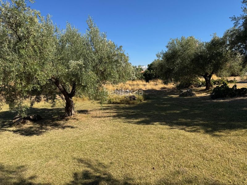 Foto 74ad8c43-c852-4c44-be62-5200e94e63bd. Casa amb piscina a Gójar