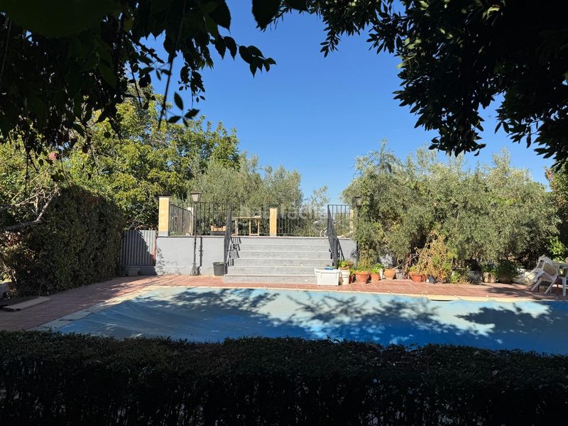 Foto 9a53fcc1-69d7-457b-88a1-6aa1008acf35. Casa amb piscina a Gójar