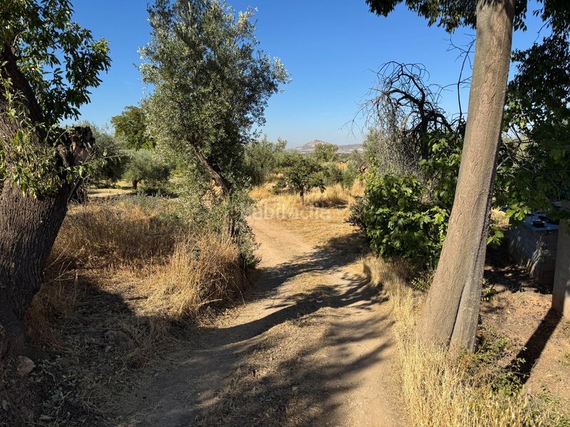 Foto c16d7e95-ff78-4605-bd49-dde1393193a6. Casa amb piscina a Gójar