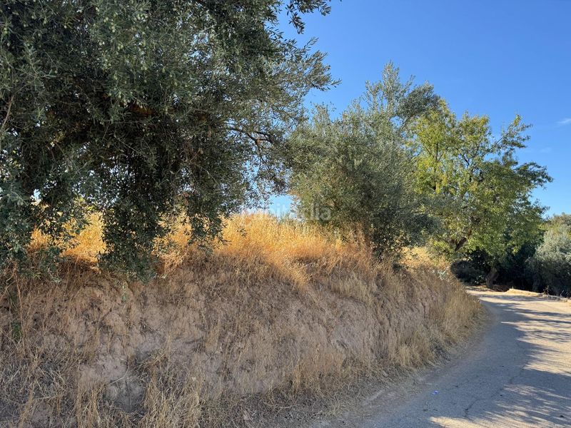 Foto d626490e-a789-4599-b251-e4b7f0d6ef82. Casa amb piscina a Gójar