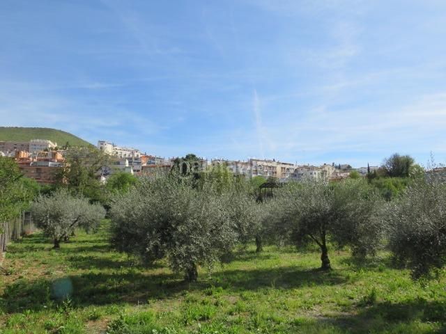 Foto 44ae9f96-c0ca-4d93-abb4-1b76396df79d. Finca rústica a Cenes de la Vega 2 a Cenes de la Vega