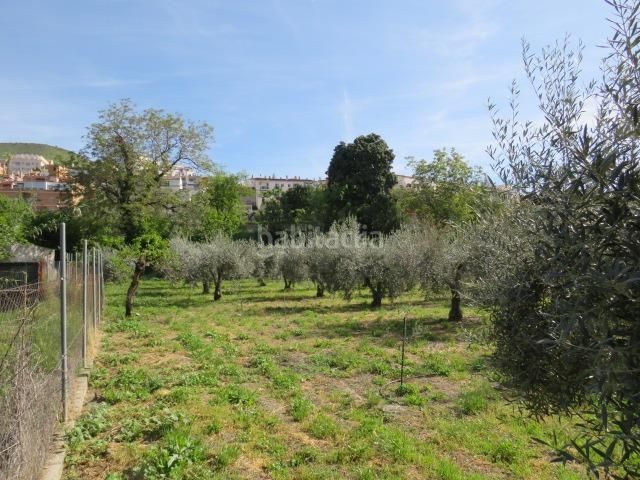 Foto 6f67d95b-1c19-41cd-a9fc-ae60888f6a7d. Finca rústica a Cenes de la Vega 2 a Cenes de la Vega