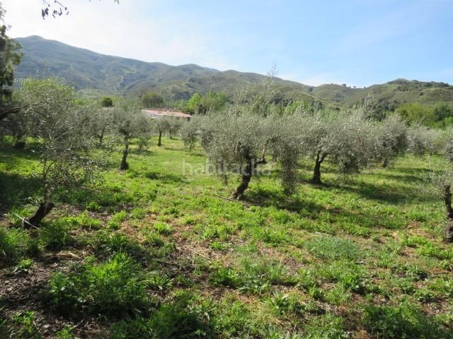 Foto 87d7e9d8-2daa-4b90-8c69-db81b3abcc34. Finca rústica a Cenes de la Vega 2 a Cenes de la Vega