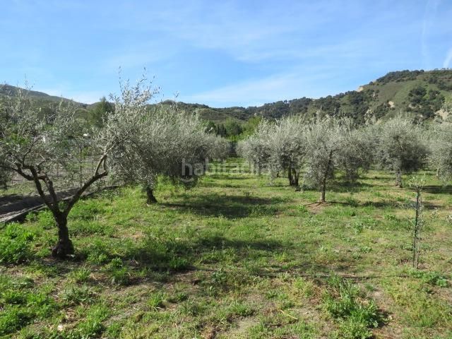 Foto 9da643fd-f666-4de7-a70f-c122449ff36b. Finca rústica a Cenes de la Vega 2 a Cenes de la Vega
