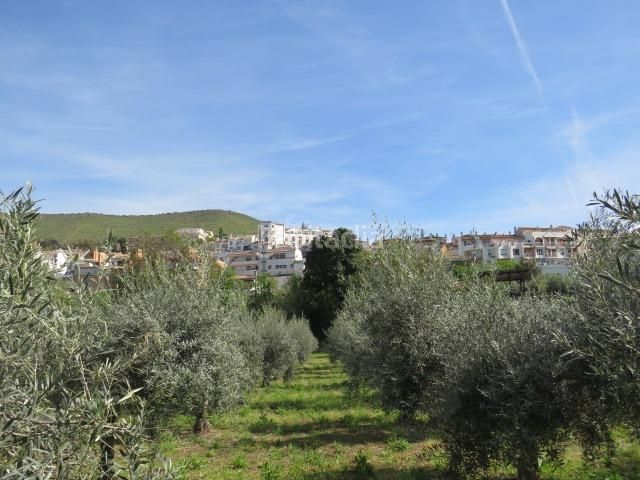 Foto a4848577-0ca3-46fe-b20f-41ba2dc70093. Finca rústica a Cenes de la Vega 2 a Cenes de la Vega