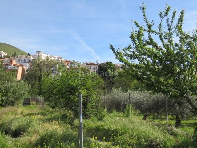 Foto b33b67d7-3989-4437-956e-d2fa30b6fdfe. Finca rústica a Cenes de la Vega 2 a Cenes de la Vega