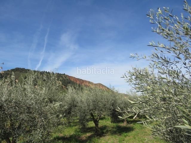 Foto b8b3e950-2661-45ac-8543-00d011e0c637. Finca rústica a Cenes de la Vega 2 a Cenes de la Vega