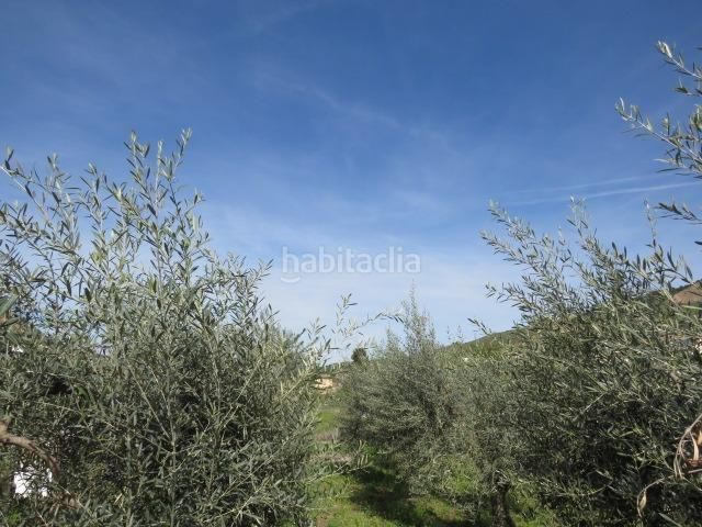 Foto f188781a-4334-4a6b-94ab-3e8bac27daa2. Finca rústica a Cenes de la Vega 2 a Cenes de la Vega