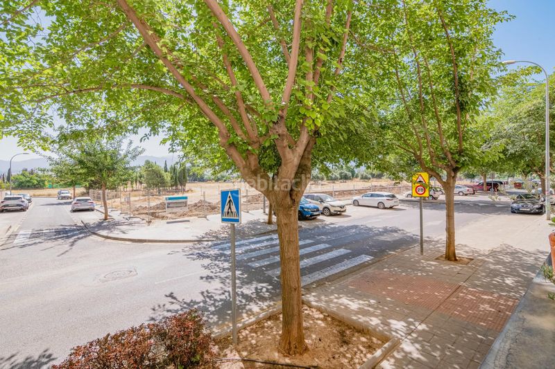 Foto daa8eb9c-e915-4e3a-bb3e-02dddf8ed0fd. Planta baixa amb aparcament piscina a Carretera de Granada-La Alcazaba Alhendín