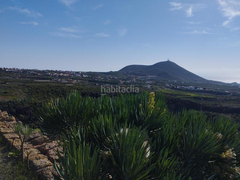 Foto 96b02fe5-c197-4957-93d2-60ab4bb70a55. Masía terreno agrícola en viña vieja en San Miguel San Miguel de Abona