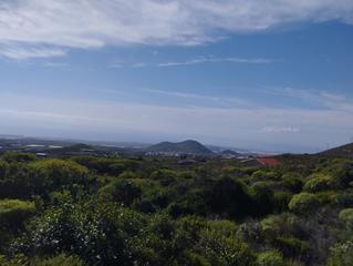 Masia a San Miguel. Terreno agrícola en viña vieja