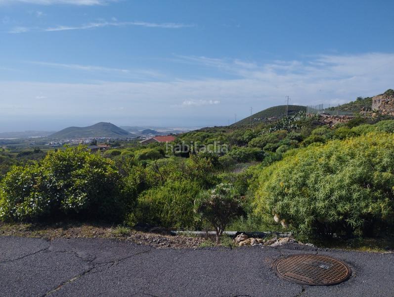 Foto e9ab0bf0-9d85-4668-9314-bebef6a2d69a. Masía terreno agrícola en viña vieja en San Miguel San Miguel de Abona
