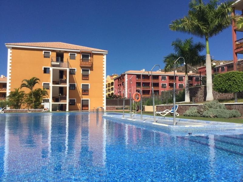 Foto e7a6d6ba-3df8-4e78-953e-6a491bcd97be. Studio avec piscine dans Palm - Mar Arona