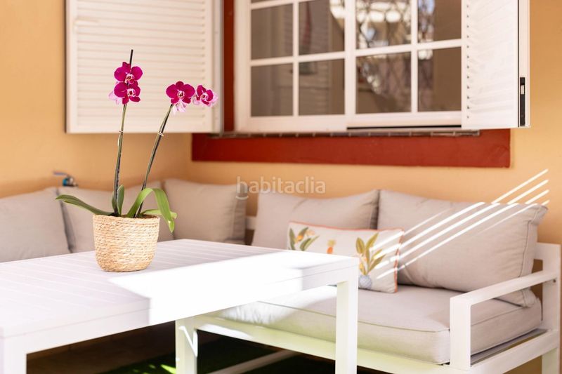 Foto cf63fb8d-dc3c-4e79-987a-b30f5a1075fc. Lloguer apartament a calle rodeo 3 a Los Cristianos Arona