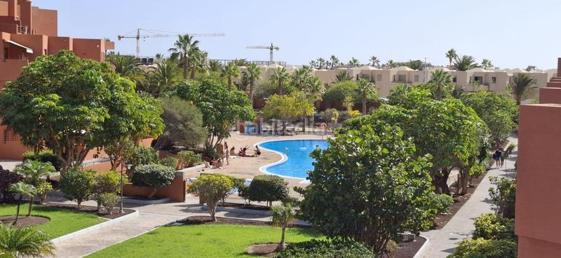 Foto dfad93ba-e6d8-407c-93cb-09821a7a240c. Apartament a Los Abrigos Granadilla de Abona