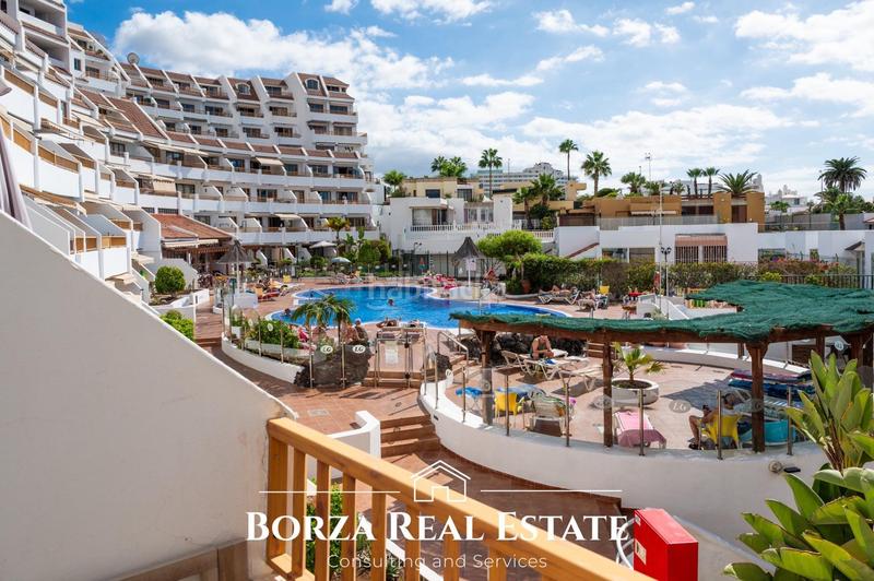 Foto 3e110109-91e3-4b35-9493-46aaac1cb1a5. Studio dans avenida de espana 3 dans San Eugenio Bajo Adeje