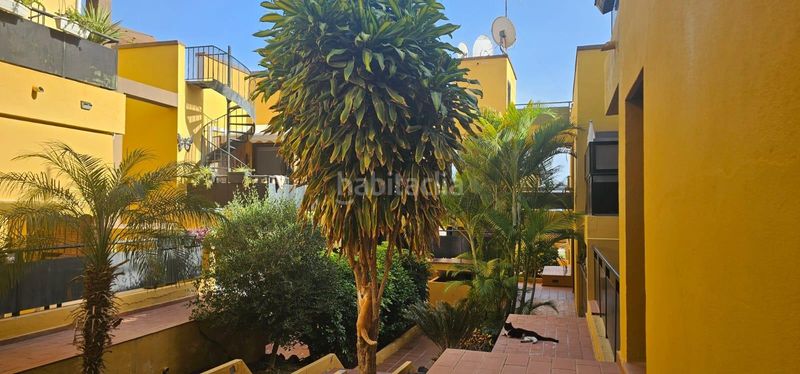 Foto 5a84cae8-c3b3-44eb-8b23-f65cd9f06da8. Àtic a calle envolvente 54 a Cho - Parque de la Reina Arona