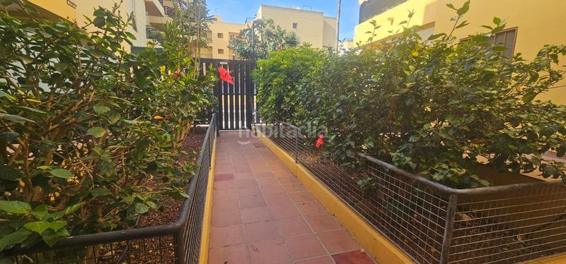 Foto fd3fd1d6-c18c-4870-9d15-a85ae26b88ba. Àtic a calle envolvente 54 a Cho - Parque de la Reina Arona