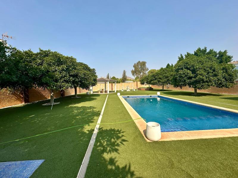 Foto 6e20eff5-61af-4369-a528-d93c8279da34. Chalet en paseo paseo mayor en Rebolledo Alicante