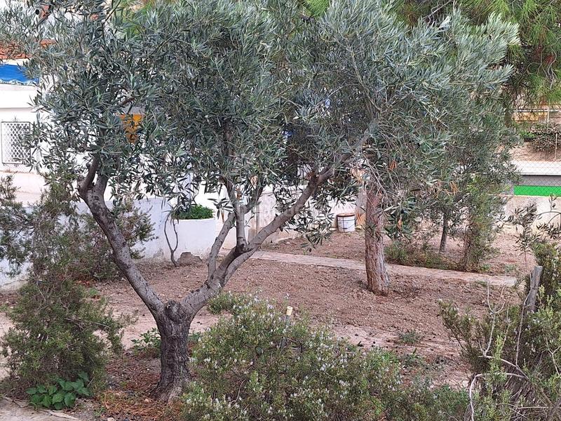 Foto aec1064c-7384-44d6-867b-1dac72df9aaa. Casa a schiera con parcheggio in Pueblo Acantilado-Lanuza Campello (el)