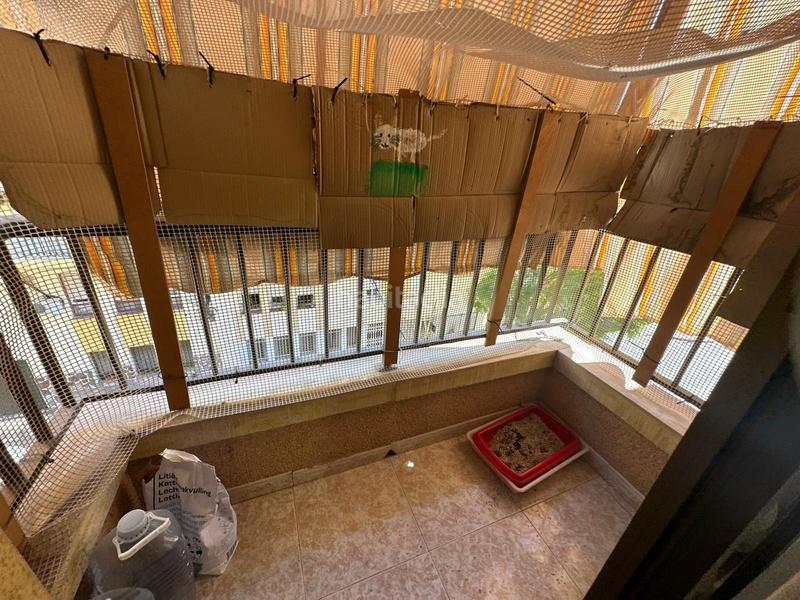 Foto 56277c95-6c77-49c5-b06d-ce82d3e39dd0. Appartement dans Camí dels Magros - Casablanca Elche / Elx