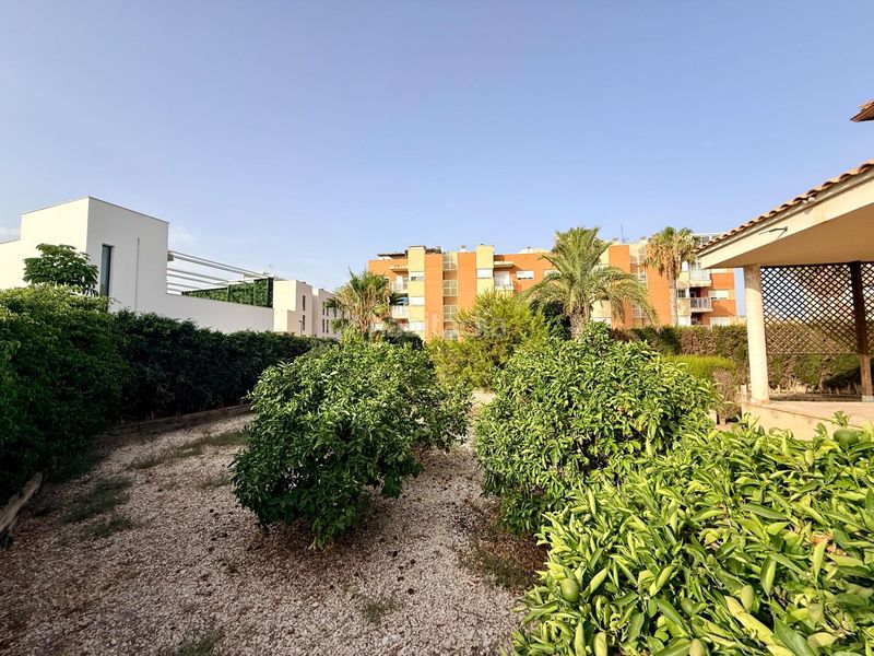 Foto c3a57246-f871-46c5-a003-40f3ac53b311. Xalet amb aparcament a Playa Muchavista Campello (el)