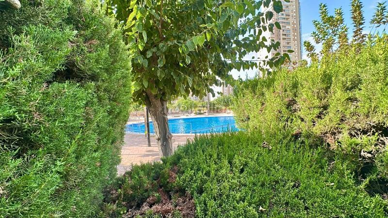 Foto e6696bbf-88f9-4bc1-b25c-25a1c5863eee. Planta baixa amb aparcament piscina a Playa Muchavista Campello (el)