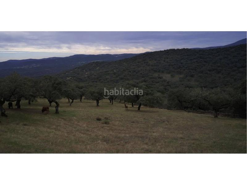 Foto 2af22462-5673-43a0-81f7-7c5b28889301. Finca rústica a Jerez de los Caballeros