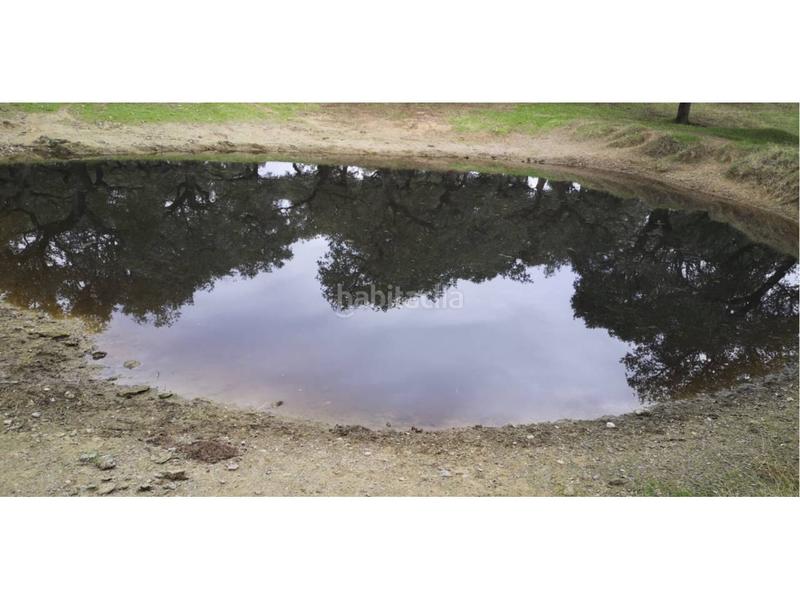 Foto a34e130c-e764-48c4-8dd8-0e36e3e2b014. Finca rústica a Jerez de los Caballeros