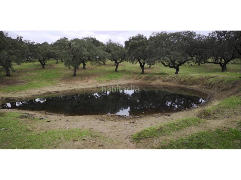 Foto abd29404-a62f-4363-b4e6-c4d81ccb9131. Finca rústica a Jerez de los Caballeros