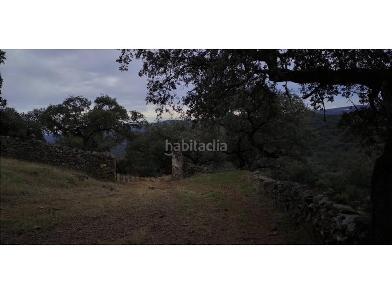 Foto cc894e69-8621-4ada-8ec0-4ebab5ae2470. Finca rústica a Jerez de los Caballeros