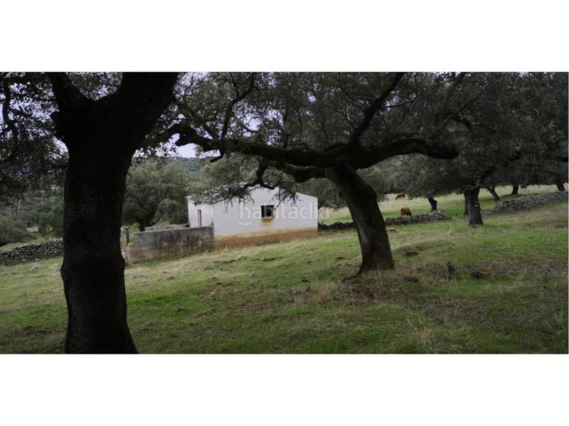 Foto d61ec6d8-0b72-4b1a-89b2-d77e2c809c75. Finca rústica a Jerez de los Caballeros