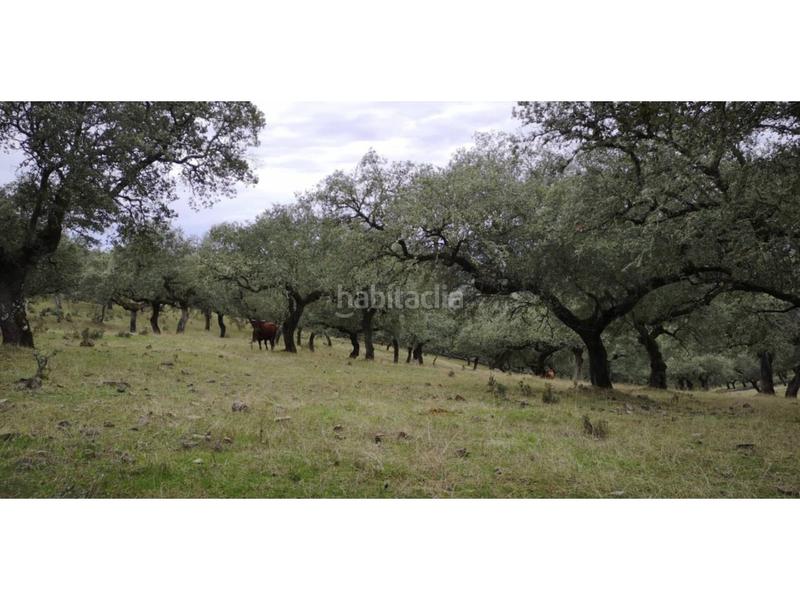 Foto e12473bd-3e03-4987-ac51-63fa32db45a6. Finca rústica a Jerez de los Caballeros