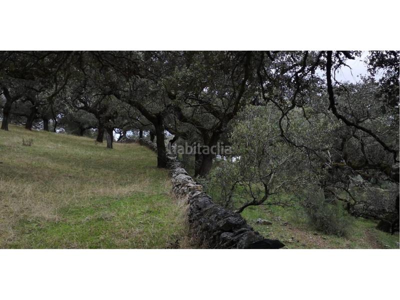 Foto eb546219-cb8d-4b21-8c04-8fec6578992e. Finca rústica a Jerez de los Caballeros
