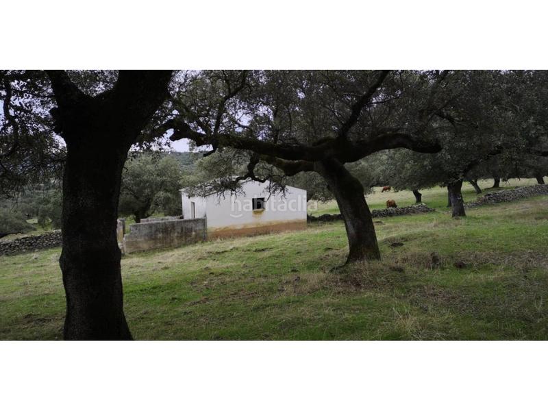 Foto f0869c73-d71a-4f69-a32a-16fd72b854cd. Finca rústica a Jerez de los Caballeros