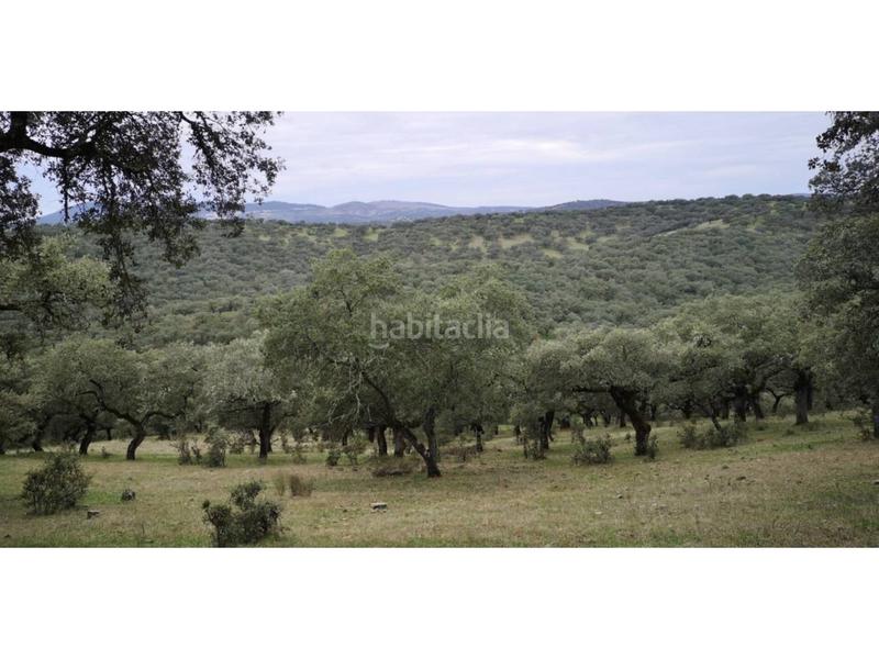 Foto fb5c8dda-b842-4e9e-88b7-2bbcfae3150e. Finca rústica a Jerez de los Caballeros